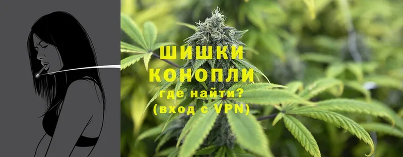 mega ссылка  Дальнереченск  Шишки марихуана THC 21%  сайты даркнета наркотические препараты  цены наркотик 